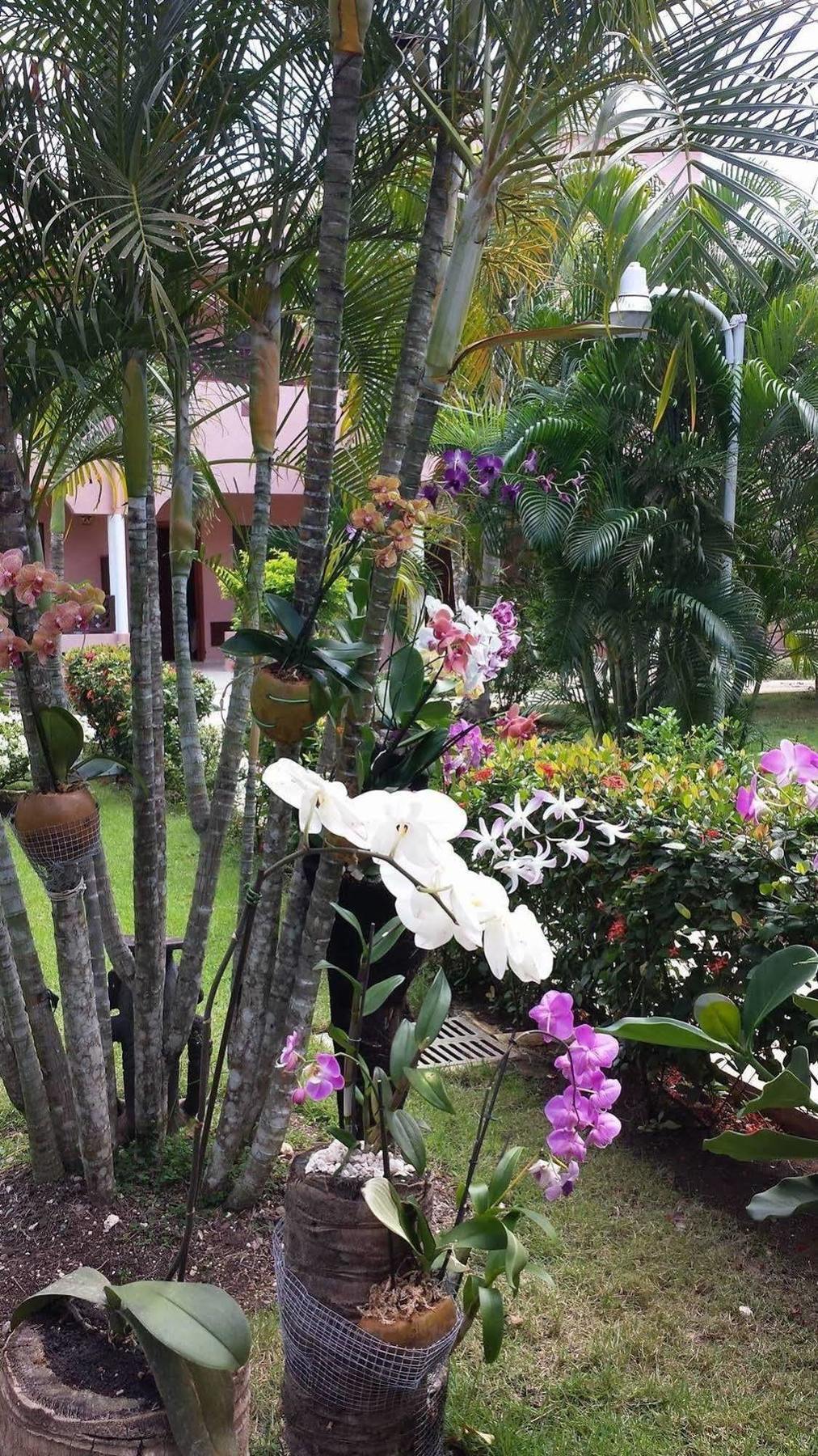 Soficu Hotel El Eden Dominicus Bayahibe Exteriér fotografie